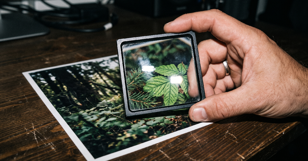 Black Forest Labs представила FLUX Upscale для апскейла видео до 4K